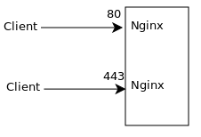Установка SSL сертификата NGINX