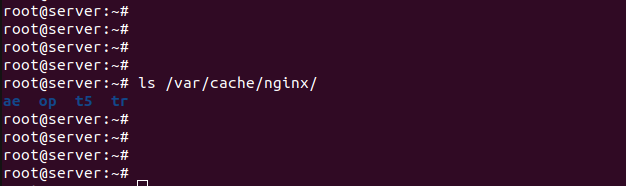 Nginx proxy cache